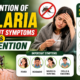 Doctor explaining prevention of malaria and its important symptoms with mosquito awareness illustration.