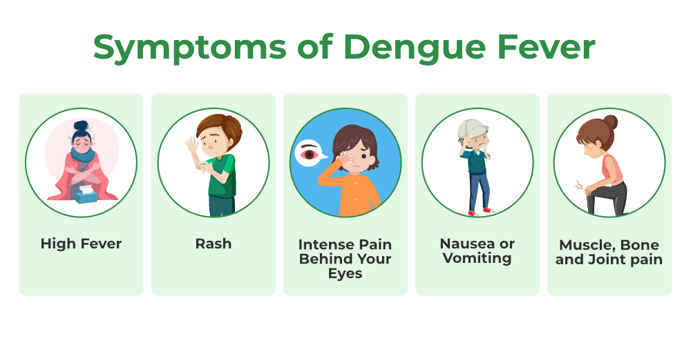 dengue treatment
